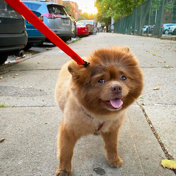 Screen Shot 2020-06-28 at 12.05.03.png