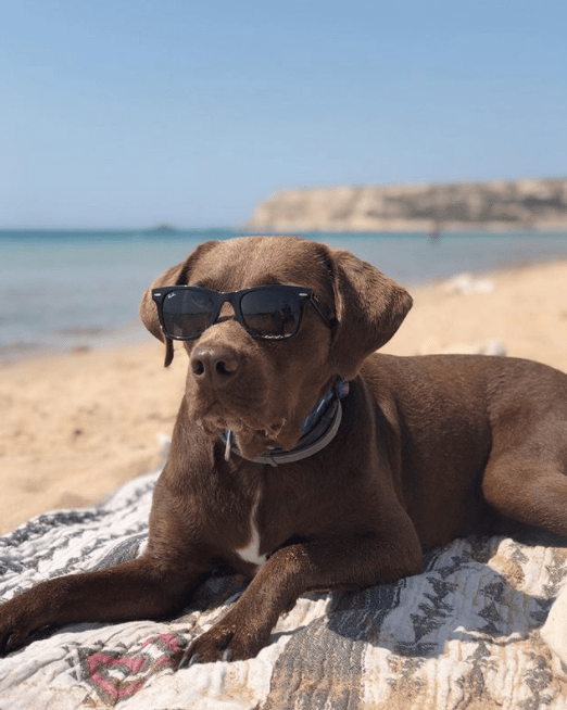 Screen Shot 2020-06-28 at 12.16.48