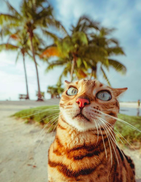 Screen Shot 2020-06-28 at 12.18.08.png